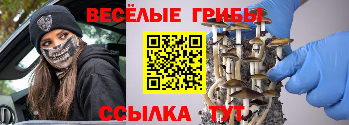Псилоцибиновые грибы прущие грибы Алейск